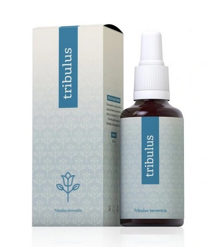 Tribulus terrestris Energy